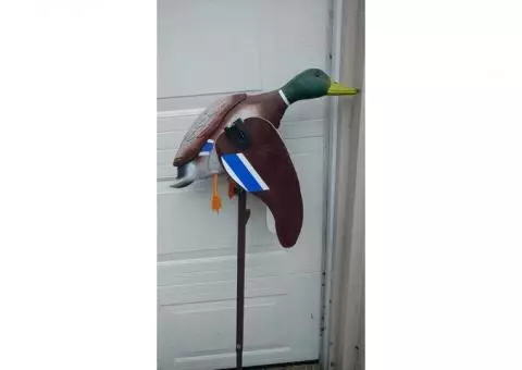 Mallard Decoy - with flapping wings